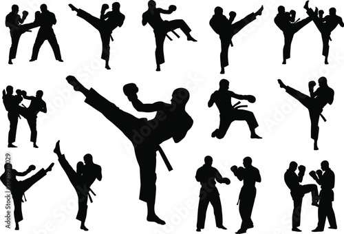 Dynamic martial arts fighters performing powerful kicks, punches, and sparring stances, detailed silhouette vector illustration for combat sports design, 