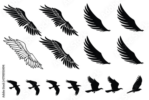 Collection of Bird Wings and Flying Birds Silhouettes freedom