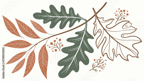 Autumn leaves and branches illustration isolated on