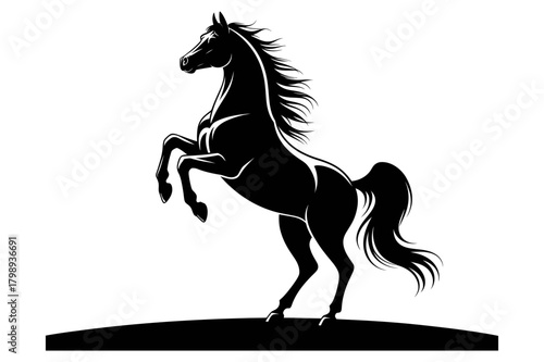 Silhouette of a rearing horse with flowing mane and tail standing on hind legs majestically poised