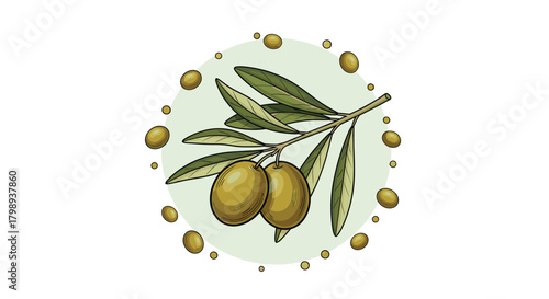 Fresh green olives hanging from a branch surrounded by a dotted border of olives.