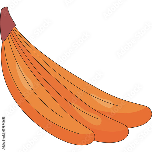 Illustration of a bunch of ripe orange bananas with a dark red stem on a transparent background detailed with fine black lines and soft shading creating a smooth gradient effect