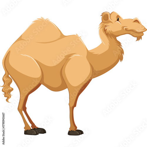 Illustration Of A Camel Standing On A Transparent Background In A Side Profile View With A Light Brown Body And Dark Brown Legs And Hooves A Desert Animal Standing Tall
