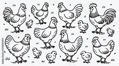 Illustration of chickens and chicks in a repeating pattern design