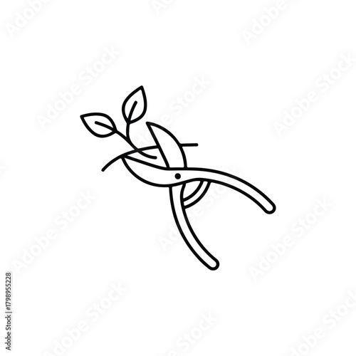 Pruning shears cutting a branch isolated on