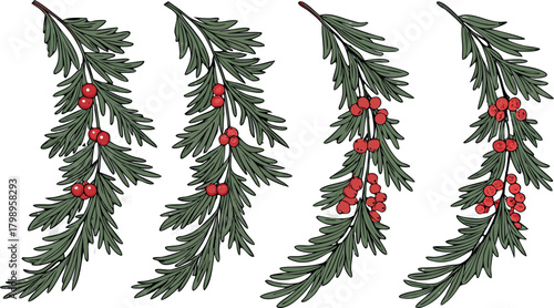 Set of Four Pine Boughs with Red Christmas Berries