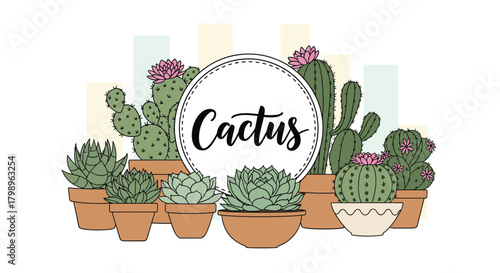 A vibrant collection of various succulent plants and cacti in terracotta pots.