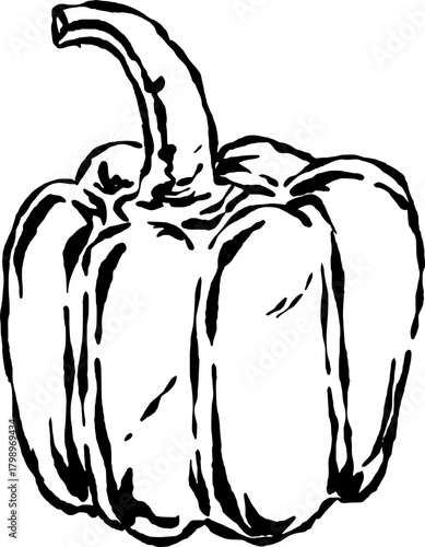 Hand-drawn paprika illustration