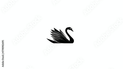 Elegant Black Swan Swimming on White Background, Isolated Graphic Illustration of a Beautiful Waterfowl Bird in Profile