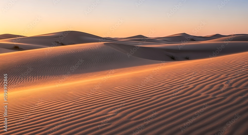 Naklejka premium Sweeping Desert Dunes at Dusk Embrace a Golden, Serene Landscape