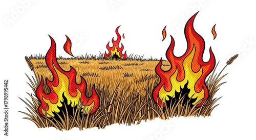 Burning dry grass field
