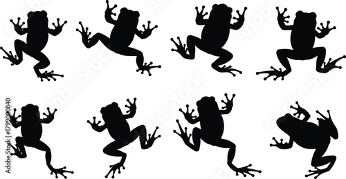 Collection of frog silhouettes featuring jumping, climbing and crouching poses with detailed legs and toes for wildlife illustration and nature design projects