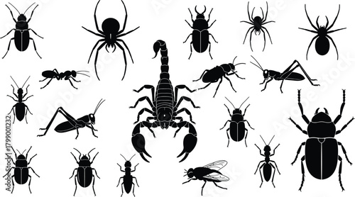 Collection of detailed insect silhouettes including spiders, scorpion, ants, beetles, grasshoppers, flies, and termites for entomology design, nature illustration graphics