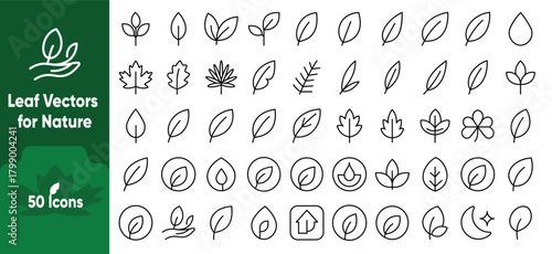 Line leaf icon set with botanical outlines for labels, packaging, branding, eco tags, vegan products, and organic design. Perfect for natural and bio-themed projects.
