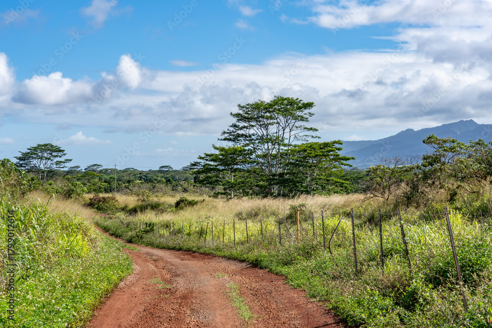 Fototapeta premium Plantation Road, Wahiawa, Honolulu, Oahu, Hawaii. 