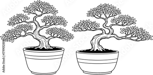 Two detailed hand drawn black and white illustrations of potted bonsai trees