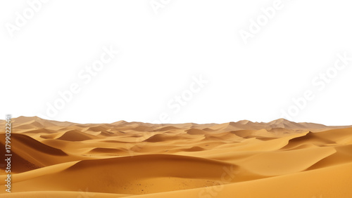 Golden desert dunes under a white sky, rich orange-brown sand forming flowing curves and shadows, a minimalist arid landscape full of texture and rhythm. transparent background.