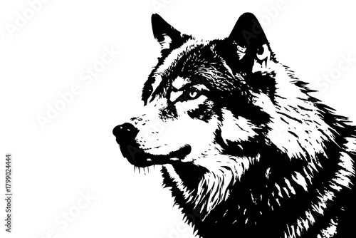 wolf head stencil style graphic. black white animal profile illustration, vector art silhouette portrait