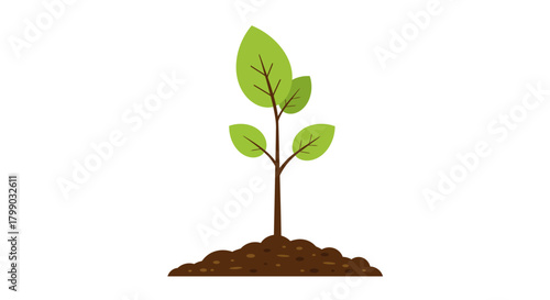 Young Plant Growing in Soil Vector Illustration New Life Growth Concept american football