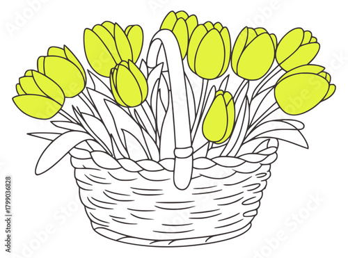 Yellow tulips in woven basket flowers spring
