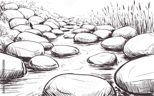 Smooth stones shallow stream reeds sketch water nature