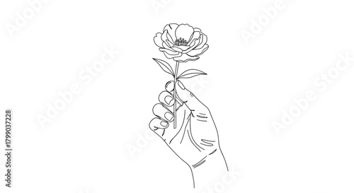 Minimalist line art drawing of a delicate hand gently holding a single blooming flower against a clean white background.