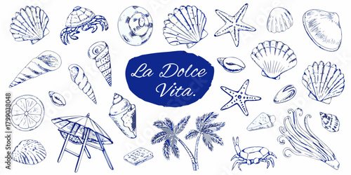La dolce vita italian phrase surrounded by hand drawn beach elements and seashells