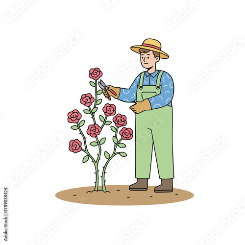 Dedicated gardener in a straw hat and work gloves meticulously prunes a vibrant rose bush with shears, demonstrating essential plant care and horticultural practices