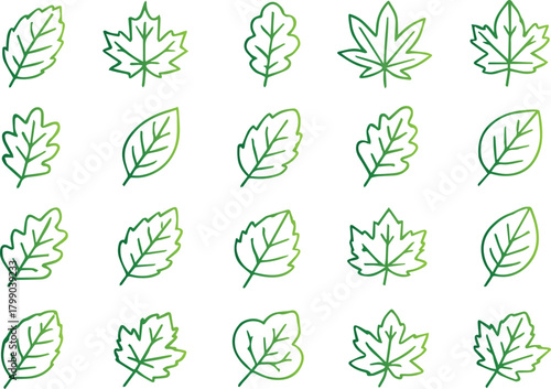 Collection of various leaf illustrations isolated on white background, showcasing diverse shapes and forms in a minimalist, line art style for botanical design