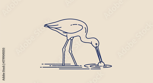 A minimalist line art illustration of a bird with a long beak feeding in shallow water, creating ripples.