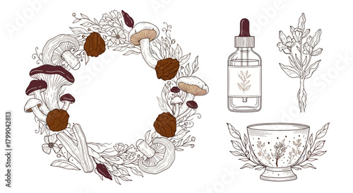 Elegant Adaptogenic Herb Vector Elements, mushroom wreath for wellness apothecary branding