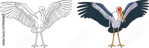 Bird coloring page with detailed wings spread, outline sketch and colored illustration, wildlife educational art, printable animal design for kids