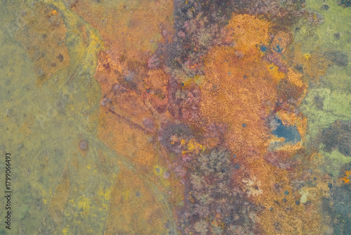 Vertical aerial shot of a colorful wetland or marsh in late autumn. Rich textures of gold and rusty orange reeds and grasses with small dark spots of water. Concept of ecology, climate, and wilderness