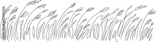 Black white grass drawing sketch