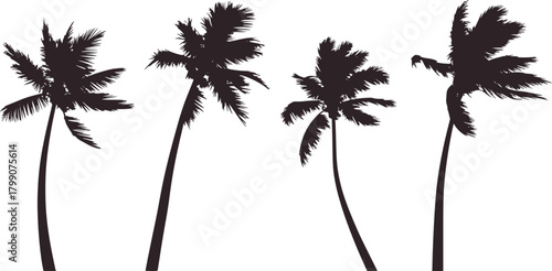 Dark palm trees tropical foliage silhouette vector