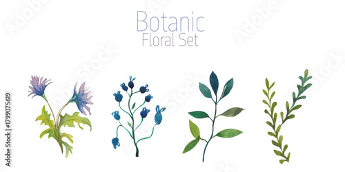 Watercolor leaf Autumnal foliage