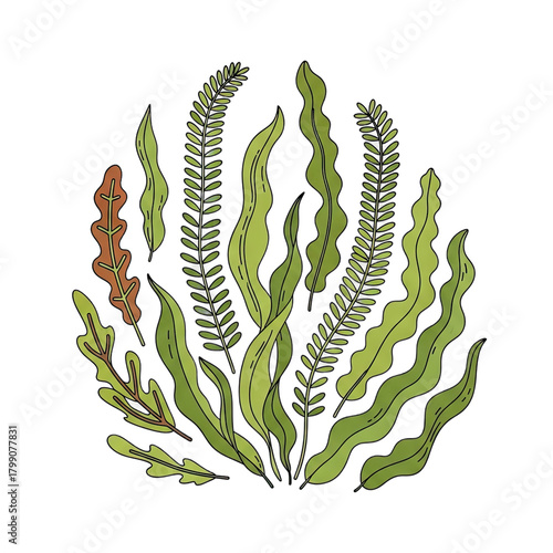 A Hand Drawn Illustration Of Green And Orange Seaweed And Aquatic Plants On A Blurred Green Background