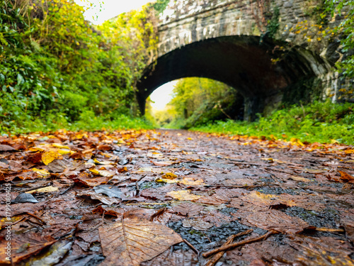 old bridge on leafy autumn path