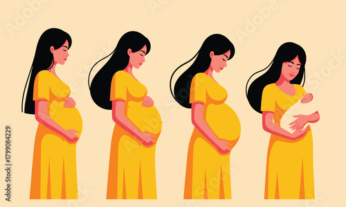 Pregnancy Stages A Visual Guide to the Journey of a Woman From Conception to Childbirth and Baby's First Days