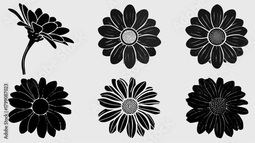Elegant floral designs, six stylized daisies in minimalist monochrome for modern spring and summer decor ideas
