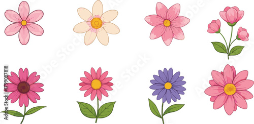 “Bright colorful floral vector set with pink daisy flowers, cartoon botanical illustrations, decorative blooming elements on clean white isolated background”