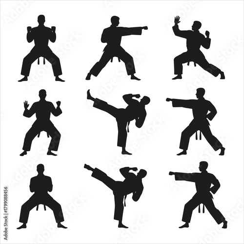Martial Arts Combat Silhouettes - Dynamic Fighter Poses