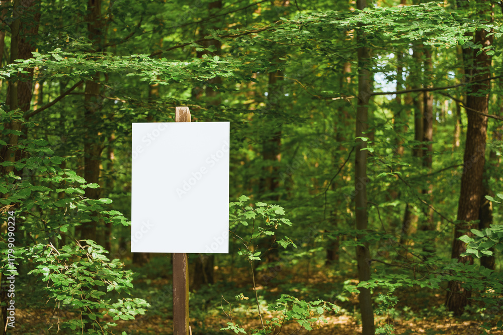 Obraz premium White signboard in a green forest with wood pole