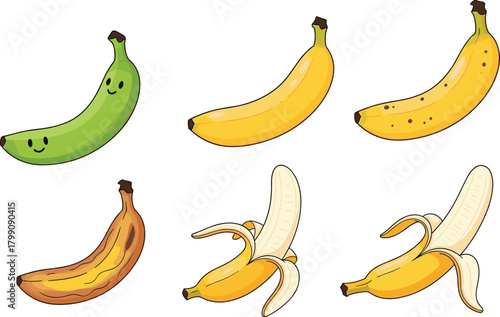 Cute cartoon banana lifecycle illustration showing green, ripe, spotted, overripe, and peeled bananas on white background for food education