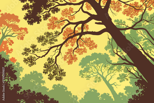 Abstract rainforest canopy top-view