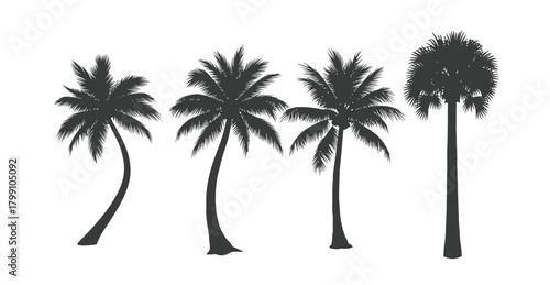 Collection of four stylized black palm tree silhouettes with varying heights and shapes against a white background