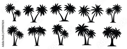Collection of diverse black silhouettes of various palm trees with different heights and shapes against a white background