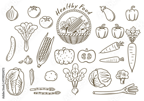 野菜　線画イラスト　アイコンセット　ベクター