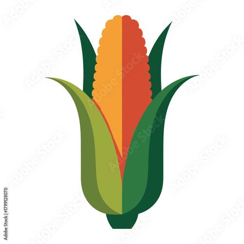 colorful corn illustration with vibrant kernels and layered green husk as bright decorative artwork