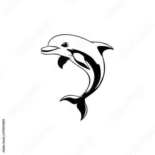 vector image of a dolphin
